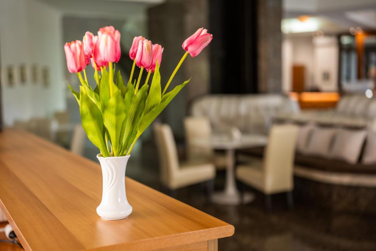 Sole Mio Wellness & Spa Novi Sad Eksteriør bilde